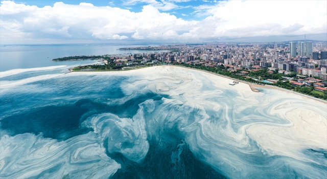 Caddebostan Sahili’nde müsilaj yoğunluğu arttı