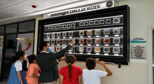 Bilim Sanat Merkezi’ndeki ”Mikroskobik Canlılar Müzesi”, öğrencilerin ilgi odağı oldu