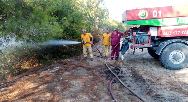 Adana’da çıkan orman yangını söndürüldü