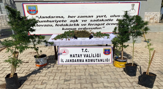 Sigara kaçakçılığı operasyonunda yakalanan 3 zanlıdan 1’i tutuklandı