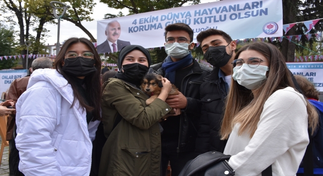 Barınaktaki hayvanlar Dünya Hayvanları Koruma Günü’nde sahiplendirildi