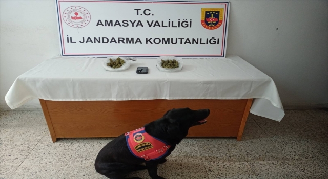 Amasya’da uyuşturucu operasyonunda 1 kişi tutuklandı