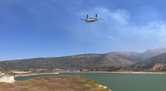 Muğla’nın Milas ilçesinde orman yangını çıktı