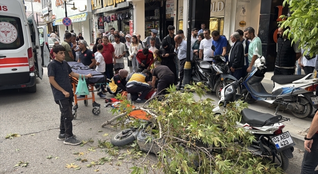 Adıyaman’da rüzgarın kırdığı dalın altında kalan motosikletteki sürücü yaralandı