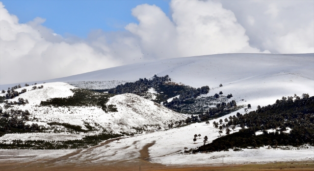 Ardahan, Ağrı ve Kars’ın dağları karla kaplandı