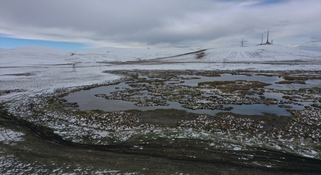 Kars’ta soğuk hava ve kırağı etkili oldu