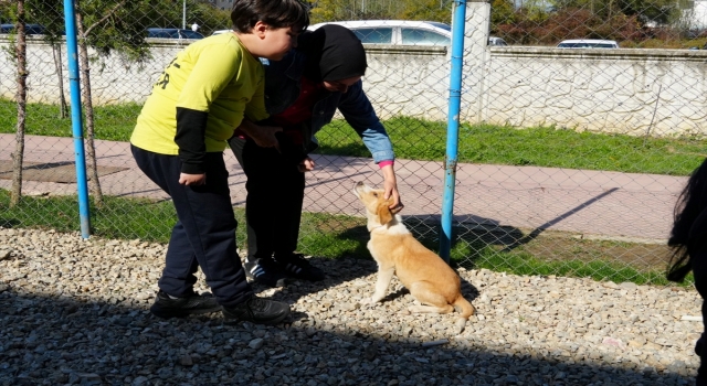 Düzce’de rehabilitasyon merkezindeki köpek yavrusunu engelsiz yaşam merkezi sahiplendi