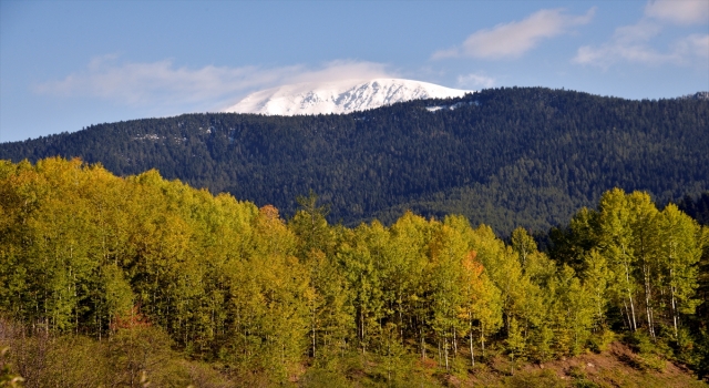 ”Anadolu’nun yüce dağı” Ilgaz’da kış ve sonbahar aynı anda yaşanıyor