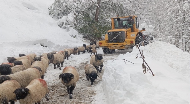 Orta ve Doğu Karadeniz’de karla mücadele çalışmaları sürüyor